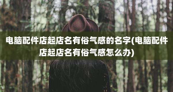 电脑配件店起店名有俗气感的名字(电脑配件店起店名有俗气感怎么办)