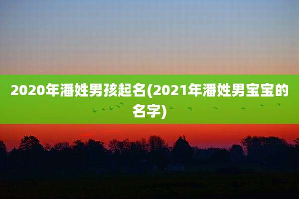 2020年潘姓男孩起名(2021年潘姓男宝宝的名字)