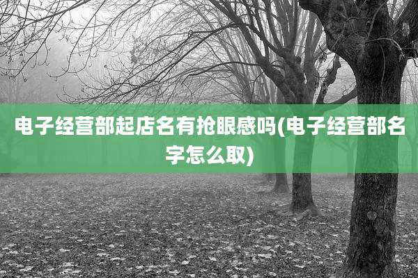电子经营部起店名有抢眼感吗(电子经营部名字怎么取)
