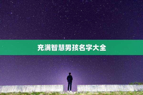 充满智慧男孩名字大全