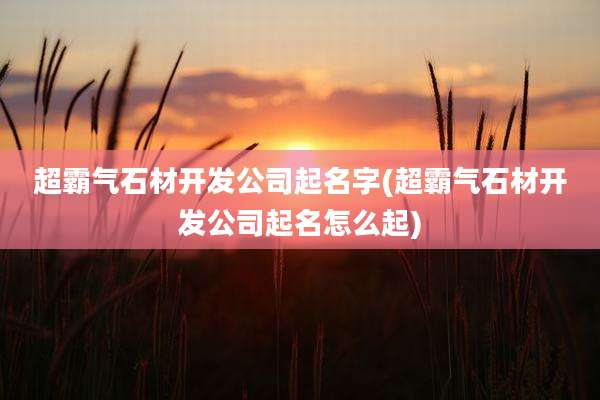 超霸气石材开发公司起名字(超霸气石材开发公司起名怎么起)