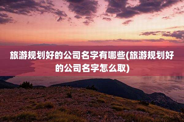 旅游规划好的公司名字有哪些(旅游规划好的公司名字怎么取)