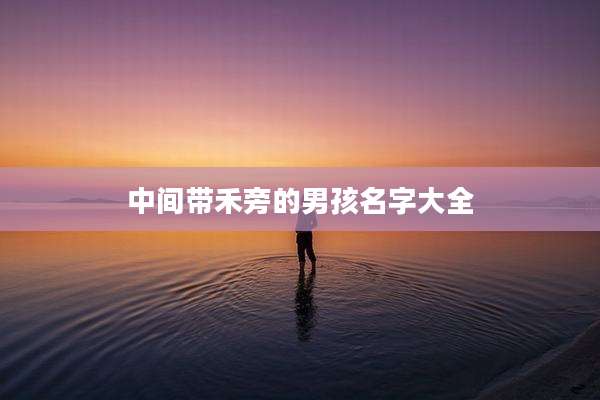 中间带禾旁的男孩名字大全
