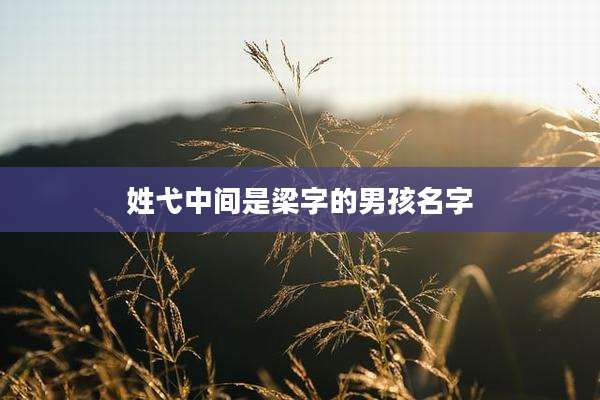 姓弋中间是梁字的男孩名字
