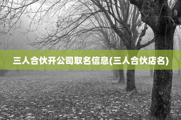 三人合伙开公司取名信息(三人合伙店名)