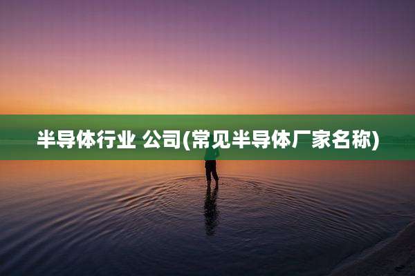 半导体行业 公司(常见半导体厂家名称)