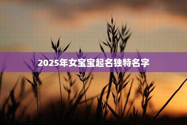 2025年女宝宝起名独特名字