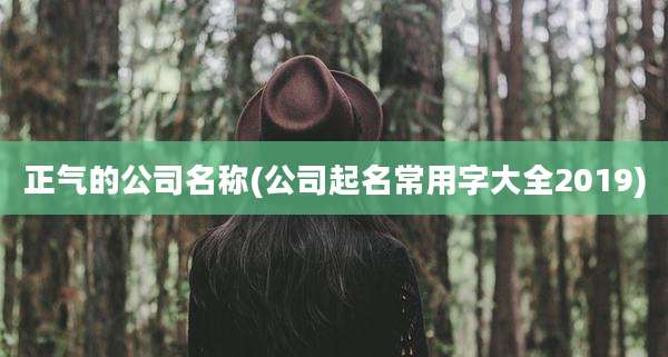 正气的公司名称(公司起名常用字大全2019)