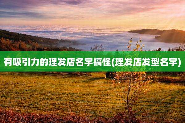有吸引力的理发店名字搞怪(理发店发型名字)