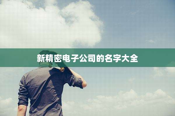 新精密电子公司的名字大全
