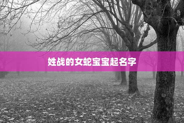 姓战的女蛇宝宝起名字