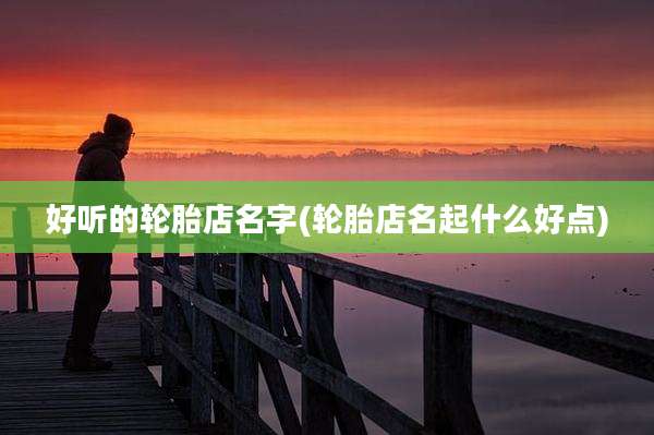 好听的轮胎店名字(轮胎店名起什么好点)