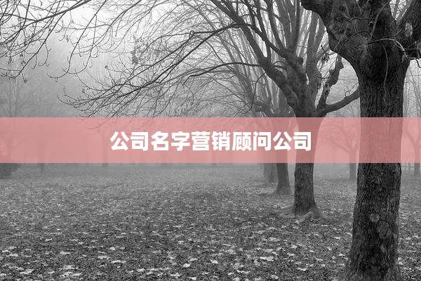公司名字营销顾问公司