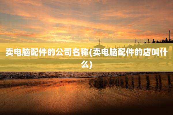 卖电脑配件的公司名称(卖电脑配件的店叫什么)