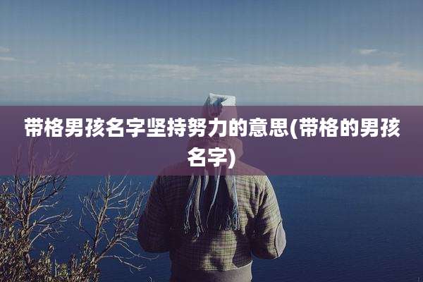 带格男孩名字坚持努力的意思(带格的男孩名字)