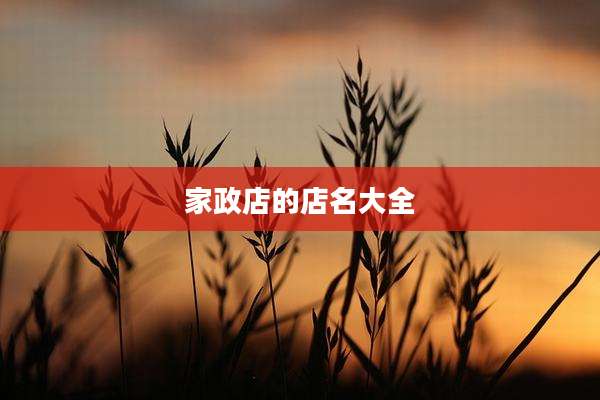 家政店的店名大全