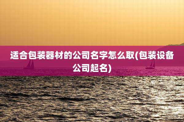 适合包装器材的公司名字怎么取(包装设备公司起名)