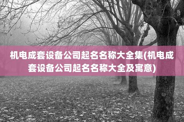 机电成套设备公司起名名称大全集(机电成套设备公司起名名称大全及寓意)