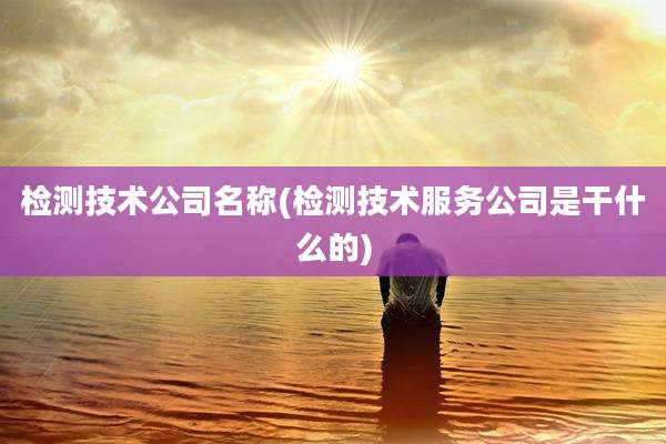 检测技术公司名称(检测技术服务公司是干什么的)