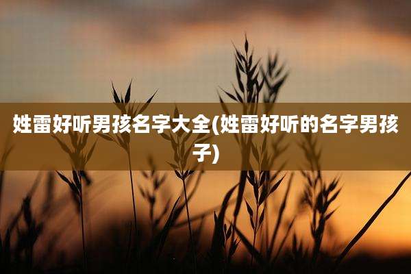 姓雷好听男孩名字大全(姓雷好听的名字男孩子)