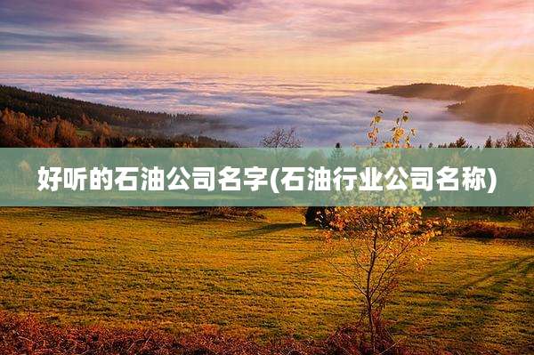 好听的石油公司名字(石油行业公司名称)