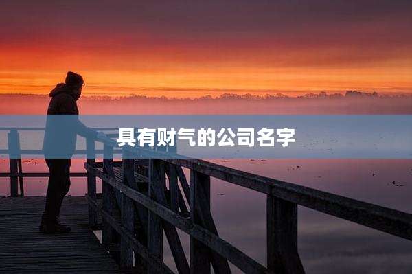 具有财气的公司名字