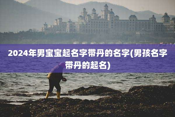 2024年男宝宝起名字带丹的名字(男孩名字带丹的起名)