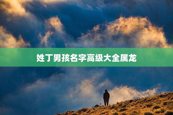 姓丁男孩名字高级大全属龙