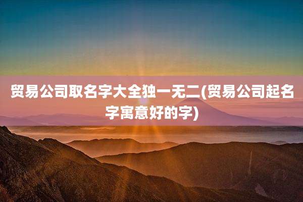 贸易公司取名字大全独一无二(贸易公司起名字寓意好的字)
