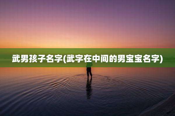 武男孩子名字(武字在中间的男宝宝名字)