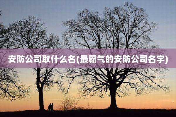 安防公司取什么名(最霸气的安防公司名字)