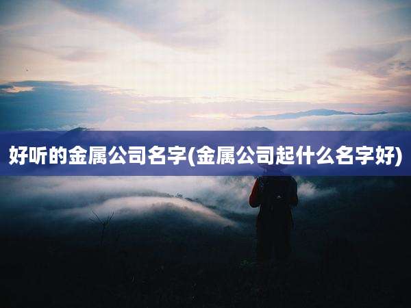 好听的金属公司名字(金属公司起什么名字好)