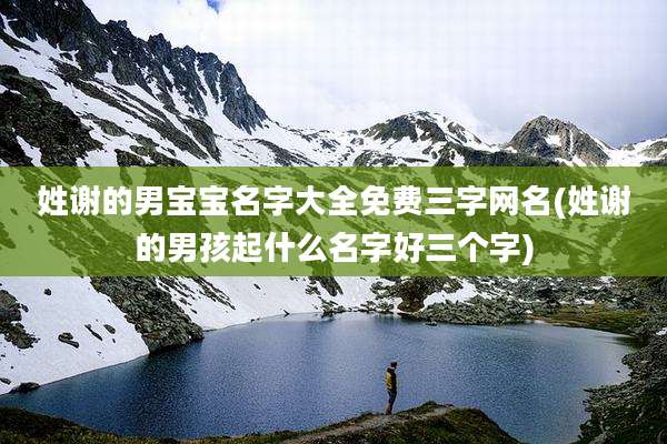 姓谢的男宝宝名字大全免费三字网名(姓谢的男孩起什么名字好三个字)