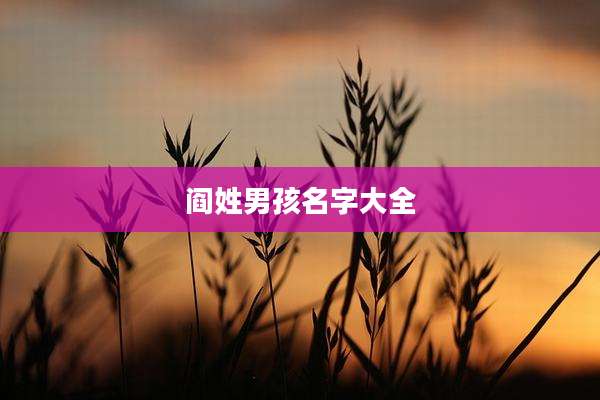 阎姓男孩名字大全