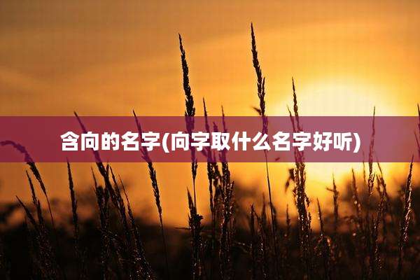 含向的名字(向字取什么名字好听)