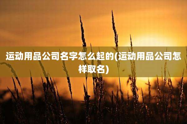 运动用品公司名字怎么起的(运动用品公司怎样取名)