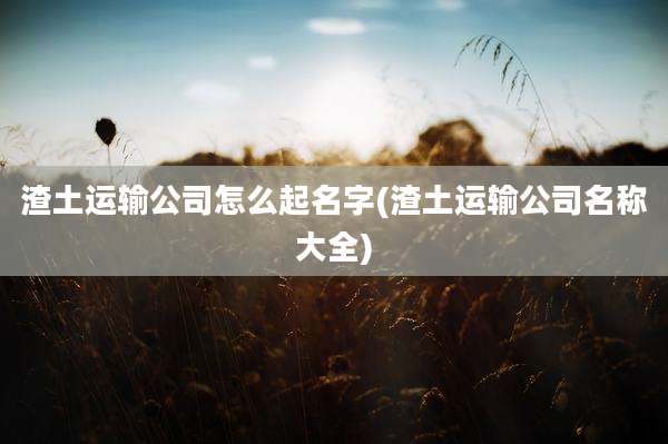 渣土运输公司怎么起名字(渣土运输公司名称大全)