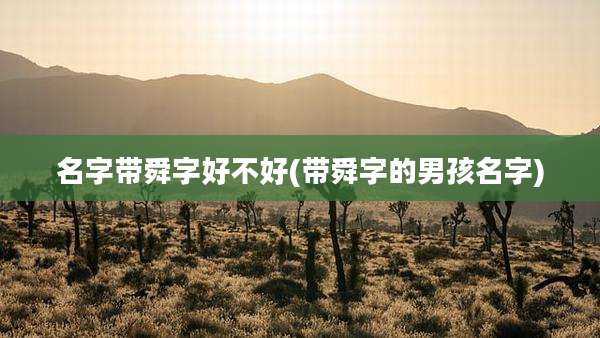 名字带舜字好不好(带舜字的男孩名字)