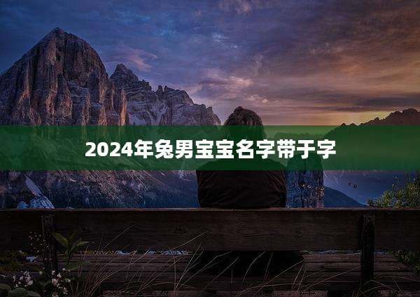 2024年兔男宝宝名字带于字
