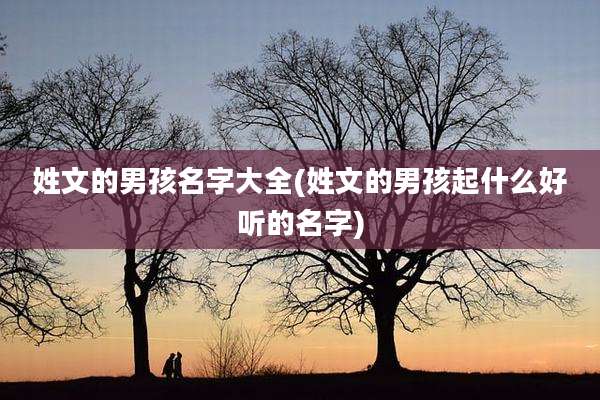 姓文的男孩名字大全(姓文的男孩起什么好听的名字)