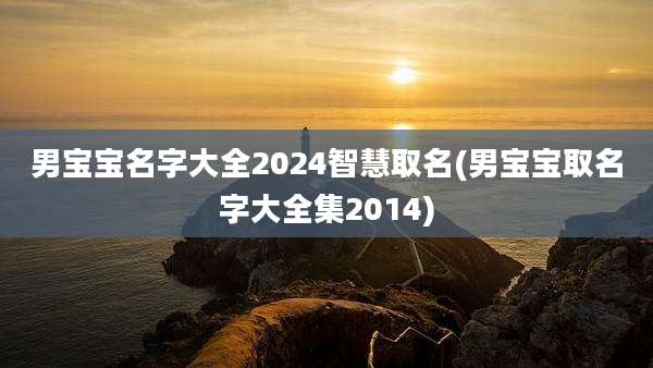 男宝宝名字大全2024智慧取名(男宝宝取名字大全集2014)