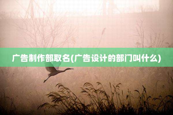 广告制作部取名(广告设计的部门叫什么)