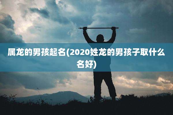 属龙的男孩起名(2020姓龙的男孩子取什么名好)