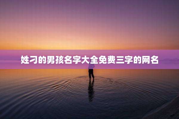 姓刁的男孩名字大全免费三字的网名
