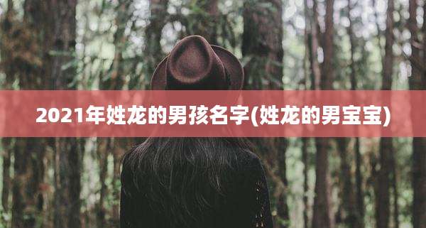 2021年姓龙的男孩名字(姓龙的男宝宝)