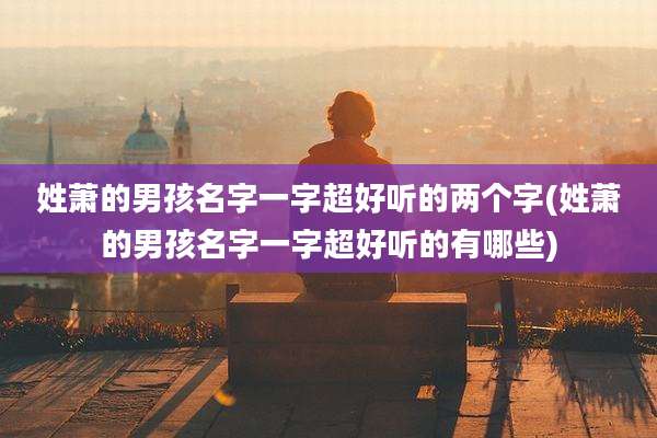 姓萧的男孩名字一字超好听的两个字(姓萧的男孩名字一字超好听的有哪些)