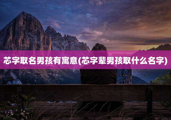 芯字取名男孩有寓意(芯字辈男孩取什么名字)