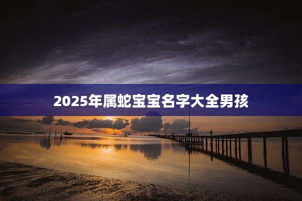 2025年属蛇宝宝名字大全男孩