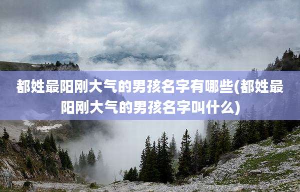 都姓最阳刚大气的男孩名字有哪些(都姓最阳刚大气的男孩名字叫什么)