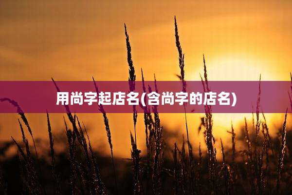 用尚字起店名(含尚字的店名)